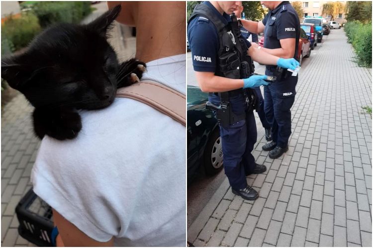 Chabrowa: pijany mężczyzna katował kota. Agresora obezwładnili policjanci, Pet Patrol Rybnik