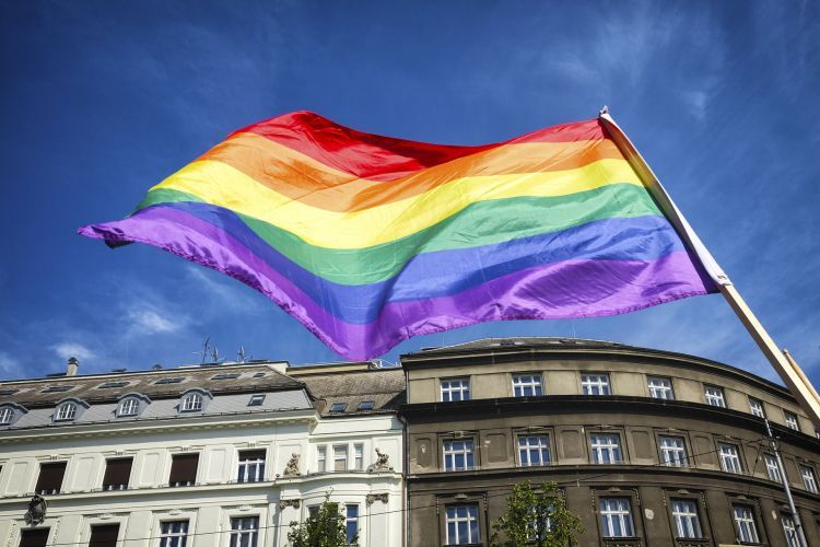 „Powstańcy” w czołówce Rankingu Szkół Przyjaznych LGBTQ+ na Śląsku, Pixabay