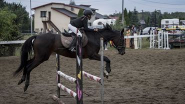 LJKS Eldorado Świerklany: w niedzielę zawody konne w skokach przez przeszkody