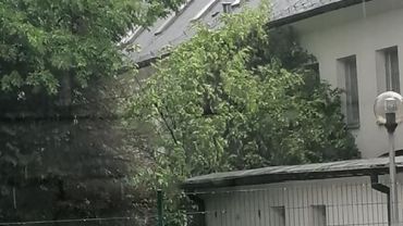 Burza nad Rybnikiem. W Niedobczycach na dom  spadło drzewo